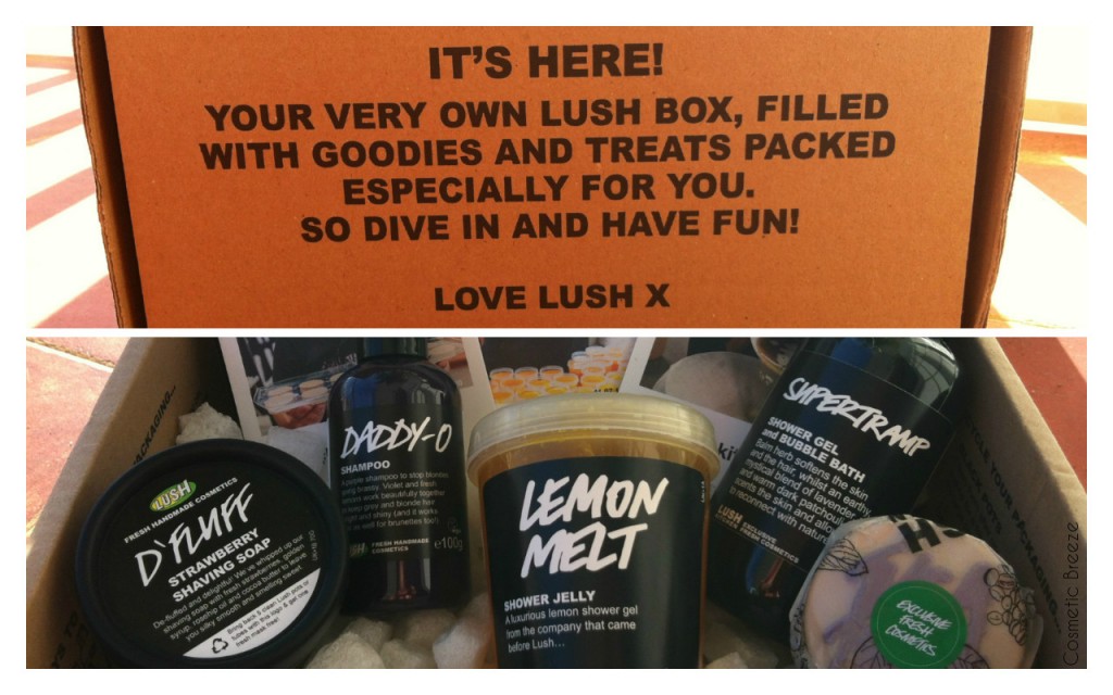 Primer pedido a Lush Kitchen en Agosto 2014